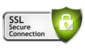 ssl secure connection logo